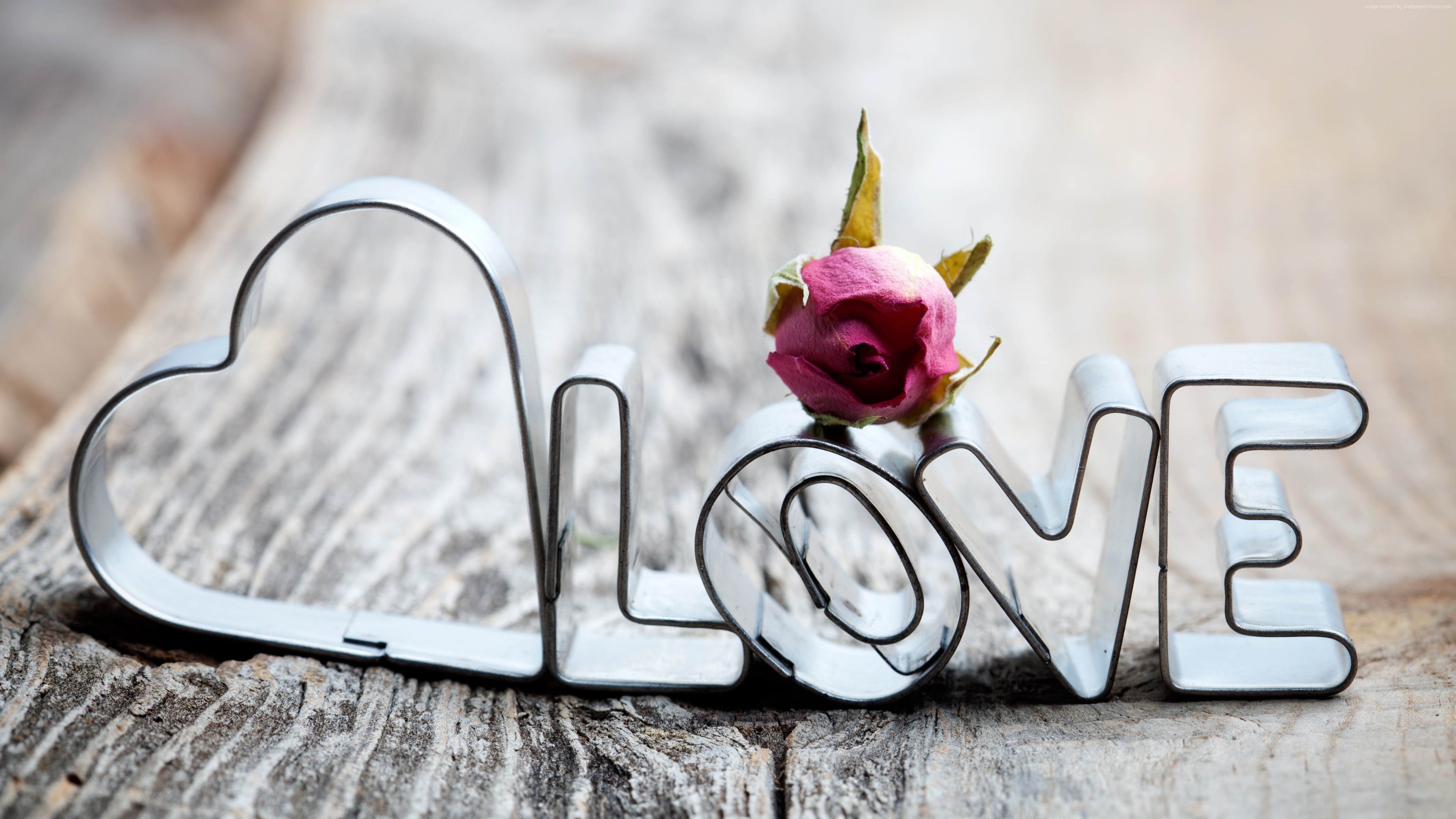 Stock Images love image, heart, rose, 5k, Stock Images